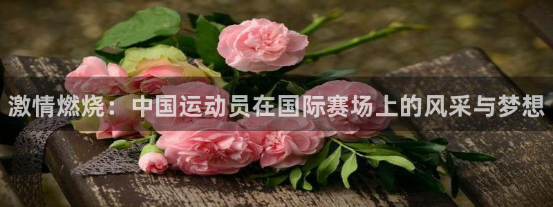 德国MK体育官方正版app集团：激情燃烧：中国运动员