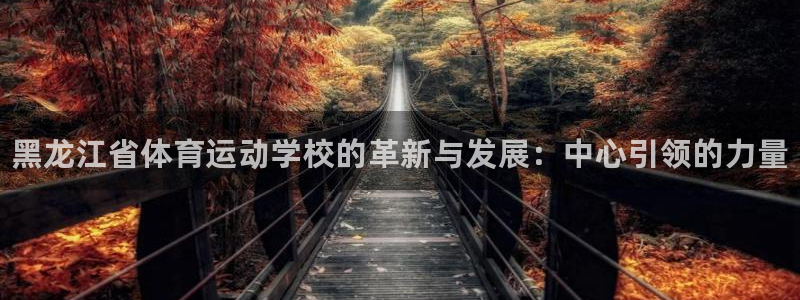 MK体育官网下载是干嘛的公司：黑龙江省体育运动学校的