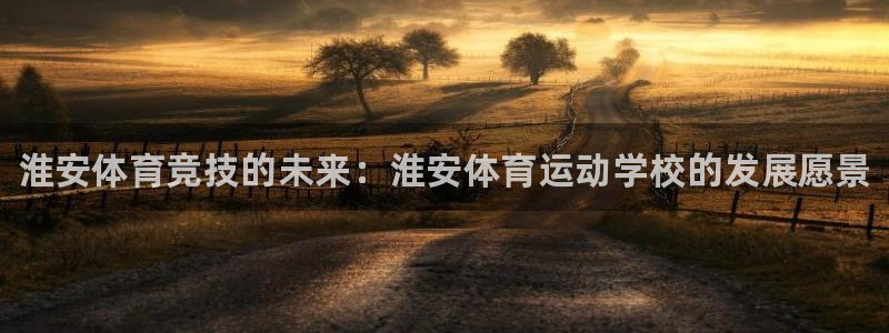 MK体育官网下载招商电话：淮安体育竞技的未来：淮安体