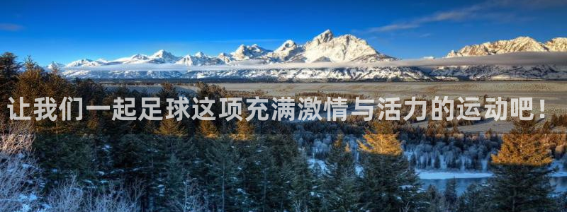 MK体育官方正版app娱乐网站：让我们一起足球这项充