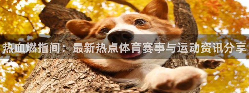 MK体育官方正版app集团：热血燃指间：最新热点体育