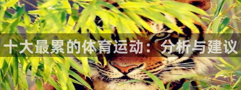 MK体育官网下载平台APP：十大最累的体育运动：分析