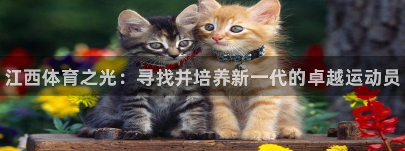 MK体育官网下载注册：江西体育之光：寻找并培养新一代