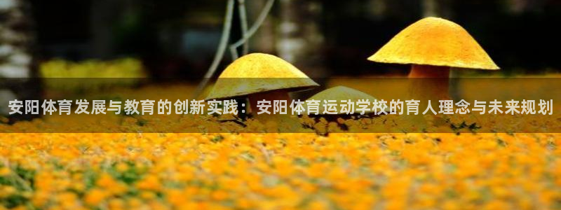 MK体育官网下载平台假的吗是真的吗：安阳体育发展与教