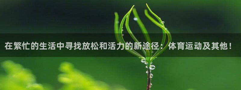 MK体育官网下载平台APP：在繁忙的生活中寻找放松和