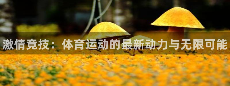MK体育官方正版app新能源：激情竞技：体育运动的最