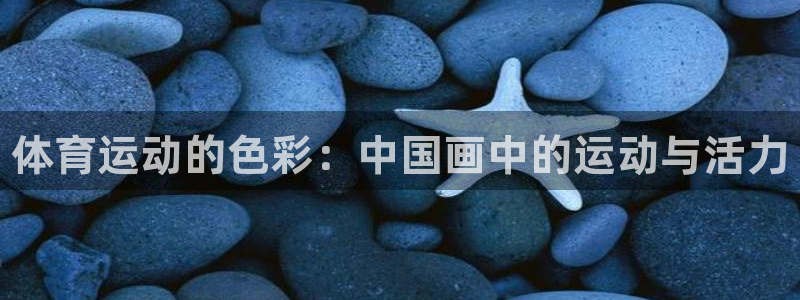 MK体育官网下载招商电话地址查询：体育运动的色彩：中
