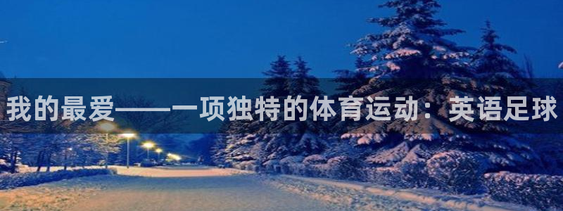 MK体育官方正版app娱乐代理怎么样：我的最爱——一