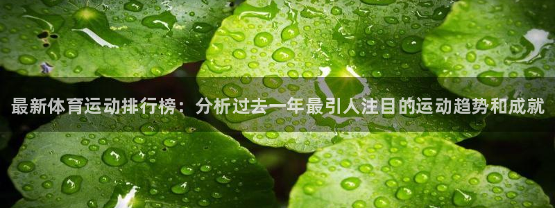 MK体育官网下载娱乐：最新体育运动排行榜：分析过去一