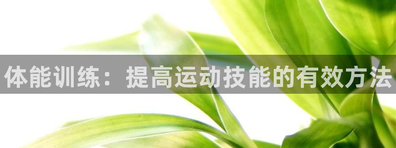MK体育官网下载平台假的吗是真的吗：体能训练：提高运