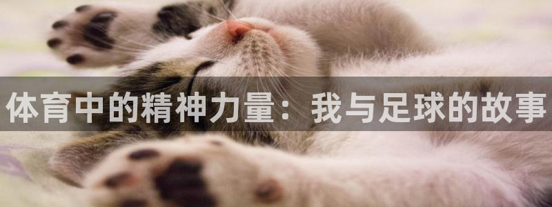 MK体育官网下载招商电话号码是多少号：体育中的精神力