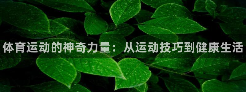 德国MK体育官方正版app集团：体育运动的神奇力量：