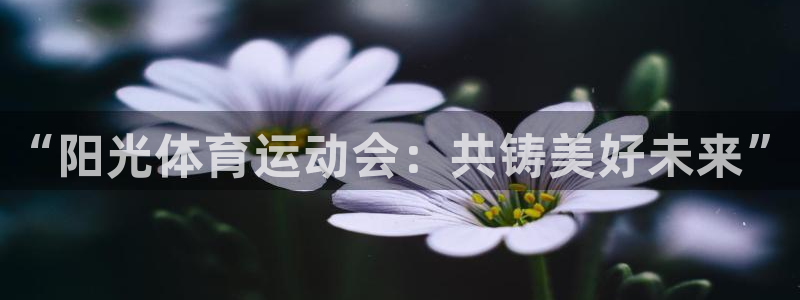 MK体育官方正版app娱乐平台：“阳光体育运动会：共