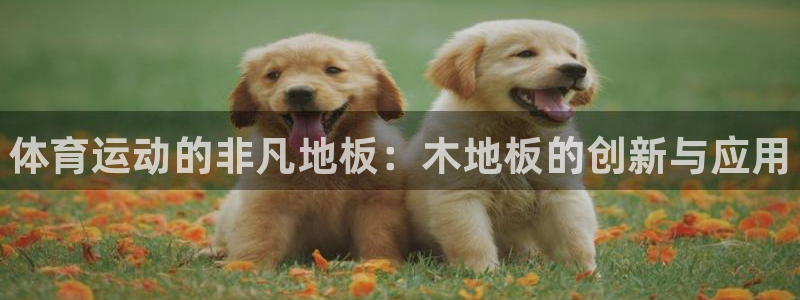 MK体育官网下载招商电话号码：体育运动的非凡地板：木