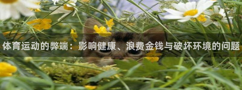 MK体育官方正版app集团官网首页网址：体育运动的弊端：影响