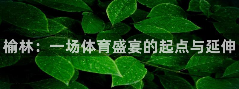 MK体育官网下载平台APP