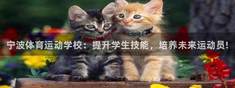 MK体育官网下载平台APP
