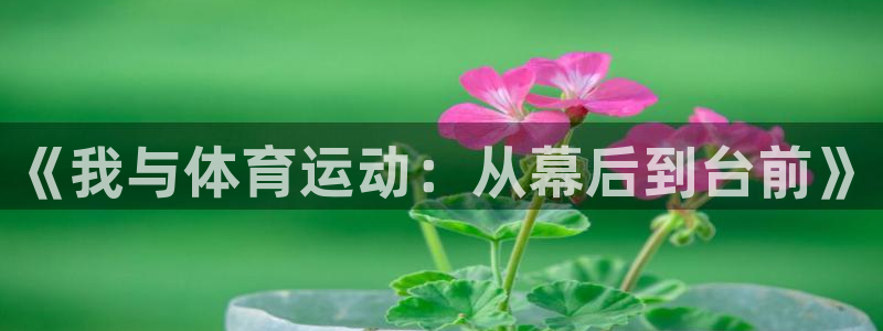 MK体育官网下载联系电话