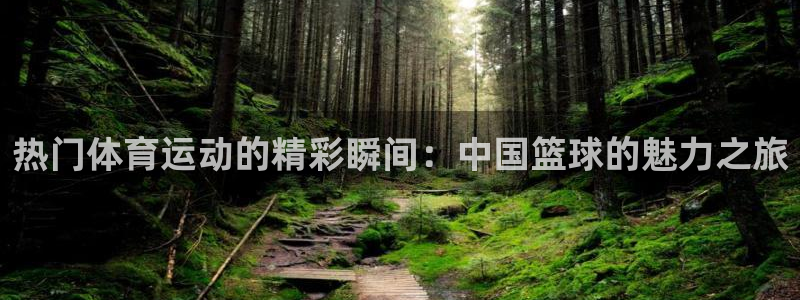 MK体育官方集团官网