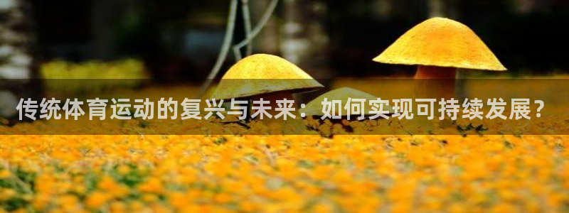 MK体育官网下载娱乐：传统体育运动的复兴与未来：如何