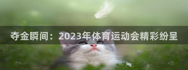 MK体育官网下载平台：夺金瞬间：2023年体育运动会精彩纷呈