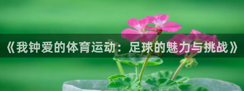 MK体育官方正版app集团官网首页网址