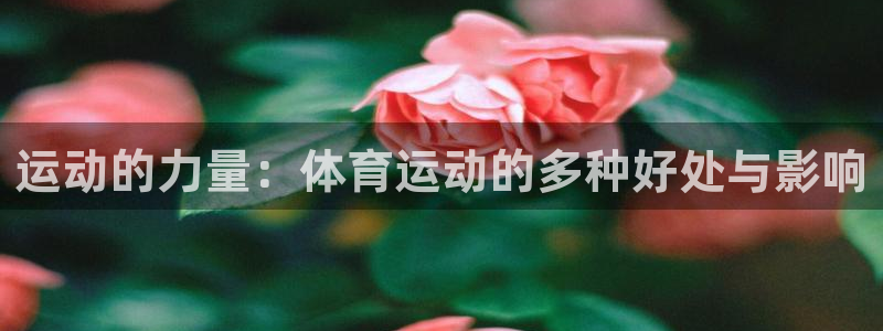 MK体育官网下载平台是正规平台吗知乎：运动的力量：体育运动的