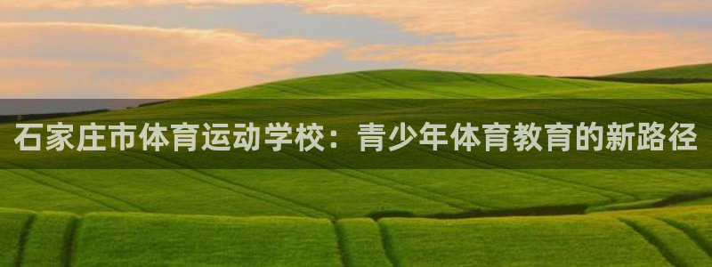 德国MK体育官方正版app集团：石家庄市体育运动学校