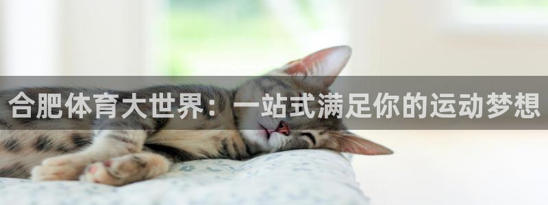 mk体育是哪个旗下的品牌：合肥体育大