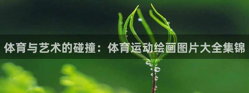 mk体育系列平台：体育与艺术的碰撞：