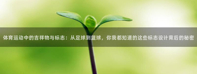 mk体育正规下载平台是什么：体育运动