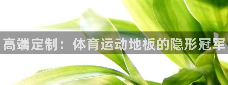 mk体育集团：高端定制：体育运动地板