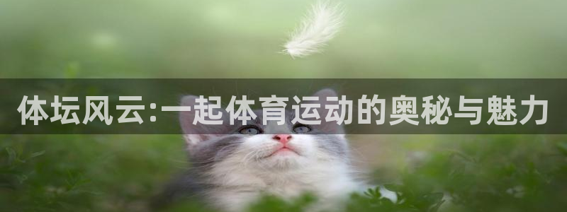 mk体育黑吗：体坛风云:一起体育运动