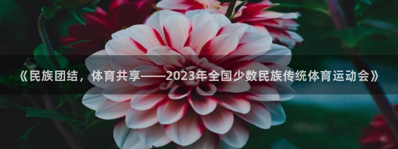 mk体育平台怎么样：《民族团结，体育