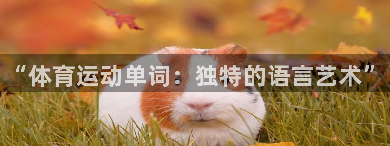 mk体育是正规的吗知乎：“体育运动单