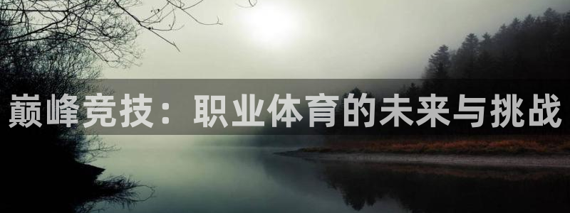 mk体育官网中文官网：巅峰竞技：职业