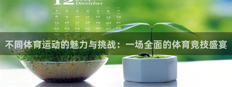 mk体育在线官网：不同体育运动的魅力