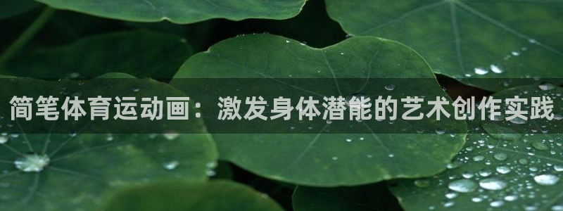 MK体育与其他体育平台合作介绍：简笔