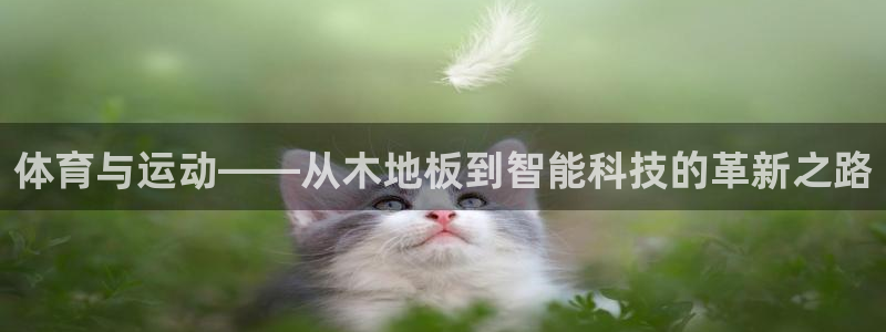 mk体育系列平台：体育与运动——从木