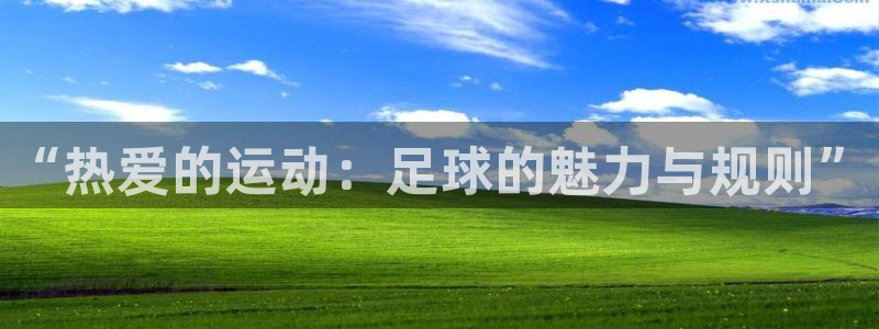 MK体育游戏：“热爱的运动：足球的魅
