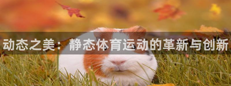MK体育官网下载招商电话号码是多少