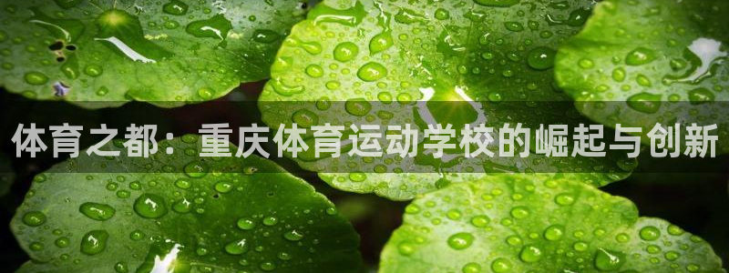 MK体育官网下载娱乐：体育之都：重庆体育运动学校的崛起与创新