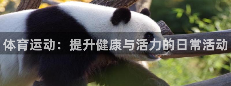 MK体育官网下载软件：体育运动：提升健康与活力的日常活动