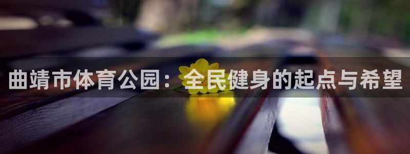 MK体育官方正版app代理
