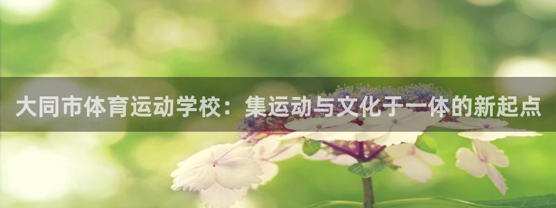 注册MK体育官方正版app：大同市体育运动学校：集运动与文化