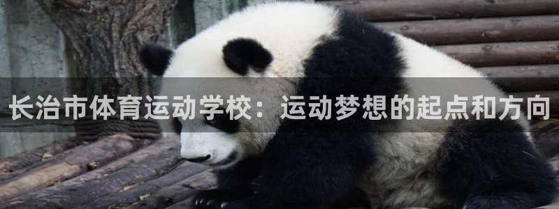 MK体育官网下载招商电话是多少号码：长治市体育运动学校：运动