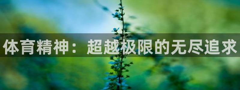 注册MK体育官方正版app：体育精神：超越极限的无尽追求