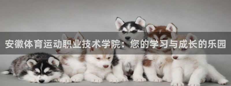 MK体育官网下载娱乐：安徽体育运动职业技术学院：您的学习与成
